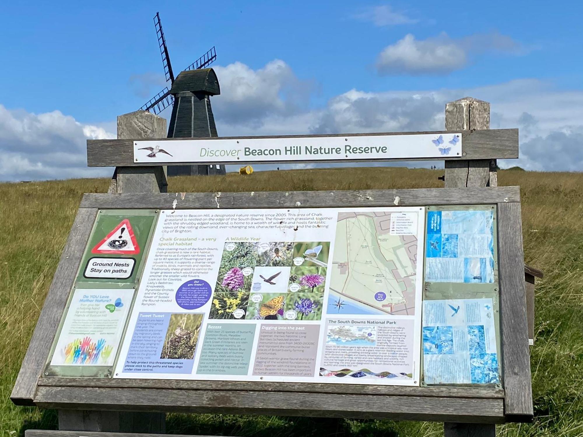 Rottingdean Boutique Studio Apartment By The Sea Hove Exterior foto